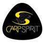 （画像用） Carp Spirit