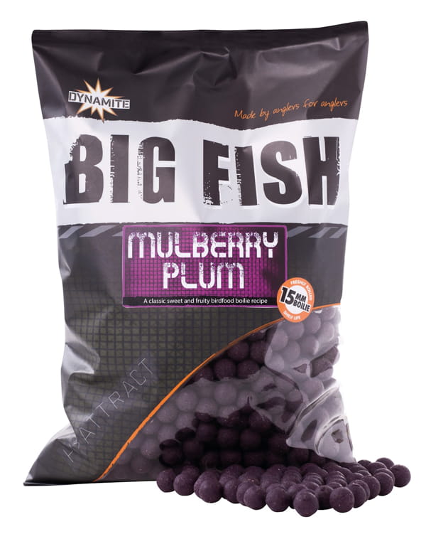 Mulberry Plum (15/20mm) 1.8kg