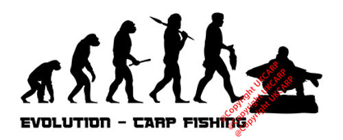 Carp Fishing Evolution Sticker Large