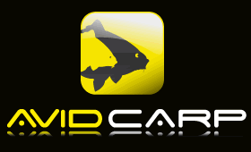 Avid Carp